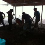 Construction Work-Discipleship Program